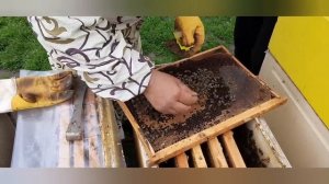 Страх Изоляции-Печальный Итог!!!