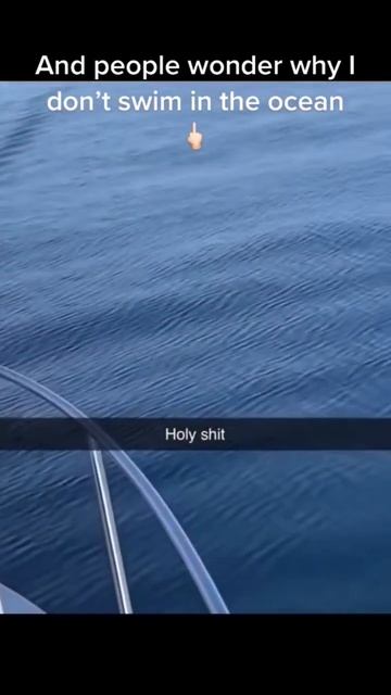 Think I'll Stay On The Boat! #shorts #travel #explore #animals #animal #amazing #shark #boat #fyp смотреть онлайн