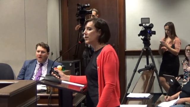 Pittsylvania County Board of Supervisors Special Meeting 06 05 17 смотреть онлайн