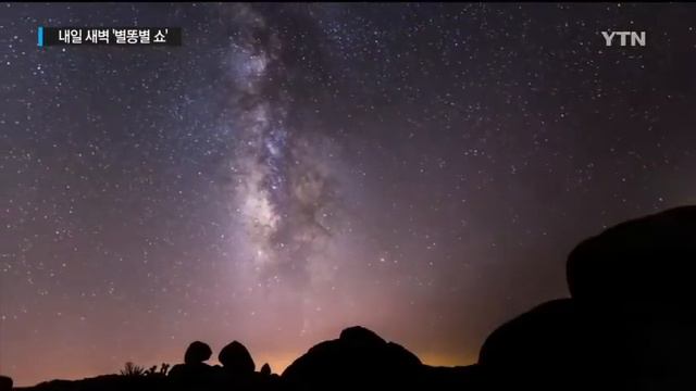 한여름 밤 수놓을 '별똥별'이 쏟아진다 / YTN
