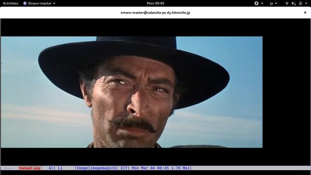 Using pass.el: store and protect your passwords смотреть онлайн