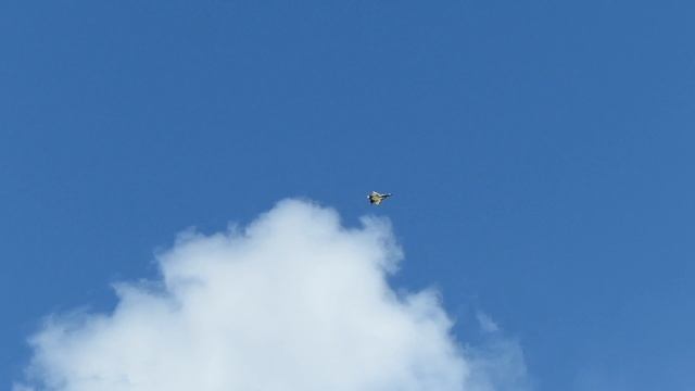 F-15 EAGLE GIANT RC SCALE MODEL TURBINE JET FLIGHT DEMONSTRATION / RC Airshow Gatow Germany 2014 смотреть онлайн