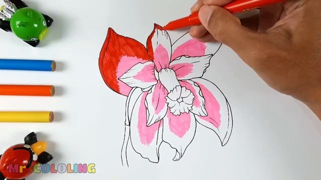 Coloring A Beautiful Orchid | Flower Color смотреть онлайн