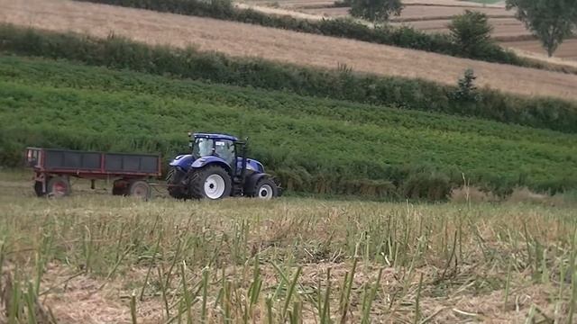 Żniwa rzepakowe 2013 ;) Claas Tucano 440 & New Holland T6070 RC [ Full HD] смотреть онлайн