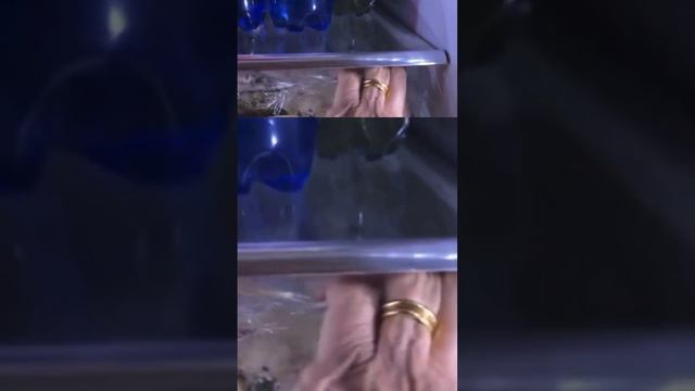 Mara Venier prepara il pranzo per il 1 maggio “casa a Roma” #maravenier смотреть онлайн
