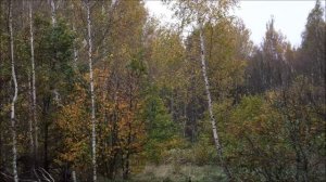 Иеромонах Роман. «Я умру, но только б не сейчас...»