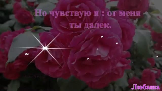 СКАЗКА смотреть онлайн