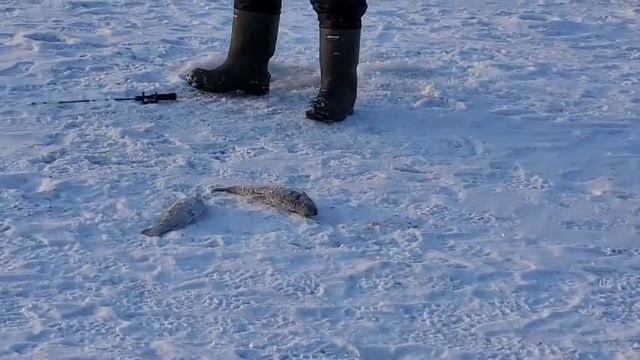 18-02-2025 смотреть онлайн