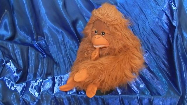 Folkmanis. Orang-utan. In static. Орангутанг от фирмы Folkmanis. В статике. смотреть онлайн