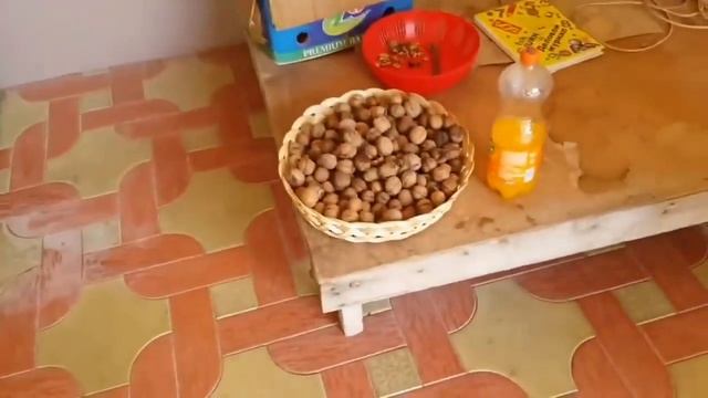 MINI BIZNES UCHUN YONG'OQ BODOM DANAK CHAQADIGAN APARAT SOTILADI.