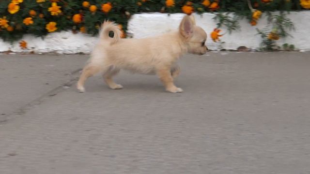 Даная смотреть онлайн