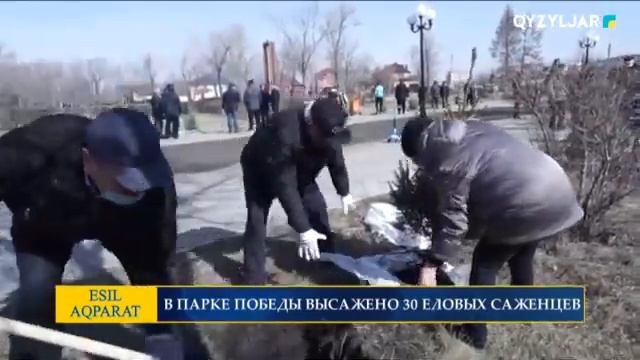 В ПАРКЕ ПОБЕДЫ ВЫСАЖЕНО 30 ЕЛОВЫХ САЖЕНЦЕВ смотреть онлайн