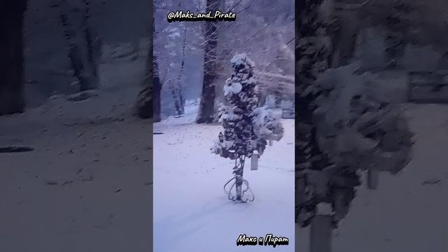 Пират и дымка продакшен смотреть онлайн