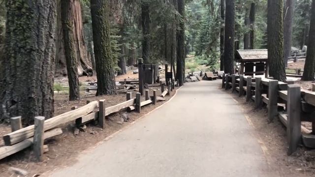 Sequoia National Park (General Sherman Tree) смотреть онлайн