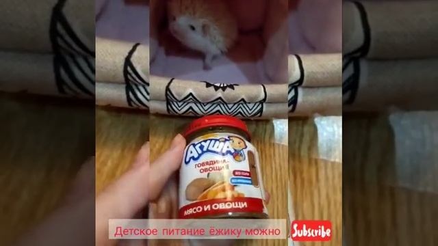 Мой новый друг.! смотреть онлайн