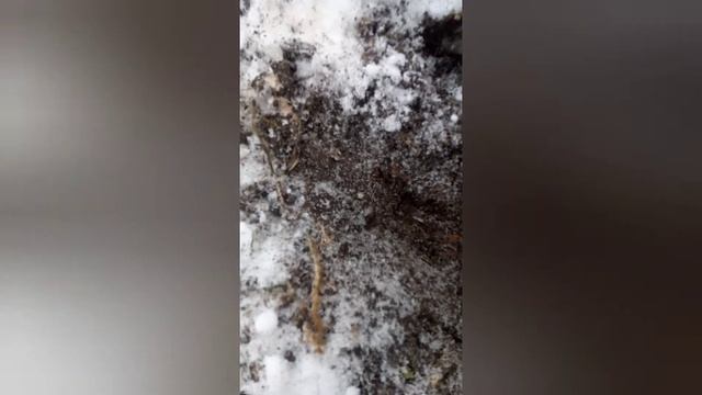 ПЕРВЫЕ ПОПЫТКИ МЕТАЛОКОПА С МД4030 смотреть онлайн