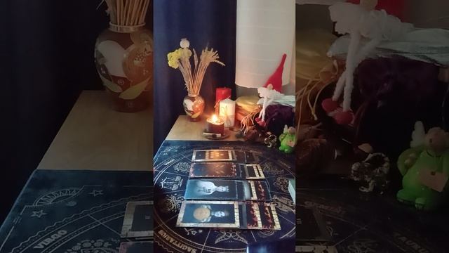 👀🤐 ЧТО ОН РЕШИЛ?👿🐾 смотреть онлайн
