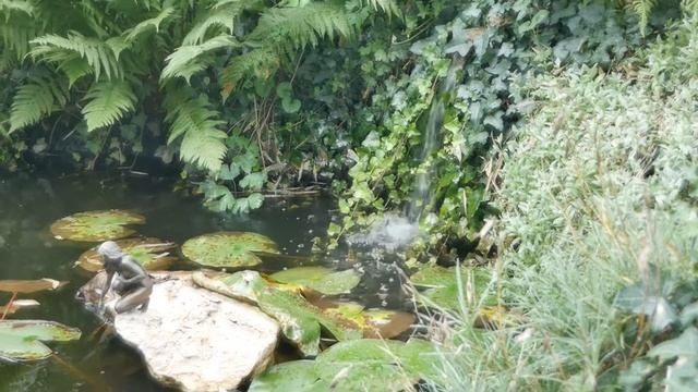 Кваканье лягушек. Звуки природы. Релакс. смотреть онлайн