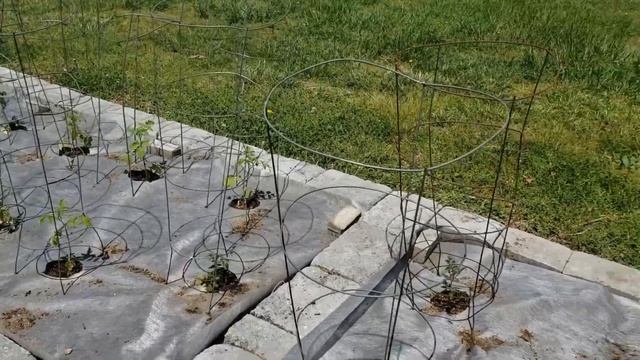 Моя деревенская жизнь в США. Огород по американски. смотреть онлайн