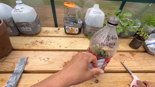 🌷🌷Winter Sowing UPDATE, My Bulb Garden Tour & 🐛The #milkweedformonarchs2022 Challenge 🦋 смотреть онлайн