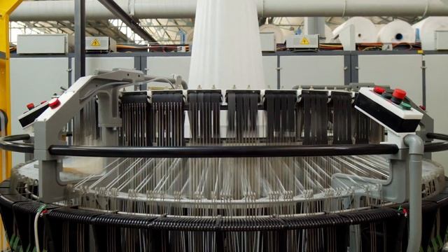 Circular Loom - LSL 6 смотреть онлайн