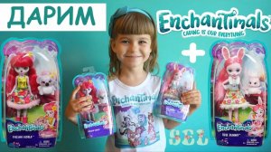 ЭНЧАНТИМАЛС Обзор  КАРИНА КОАЛА + КОНКУРС на КУКЛУ и ФУТБОЛКУ