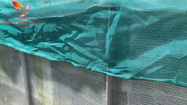 How to shade your Orchid Greenhouse (79) смотреть онлайн