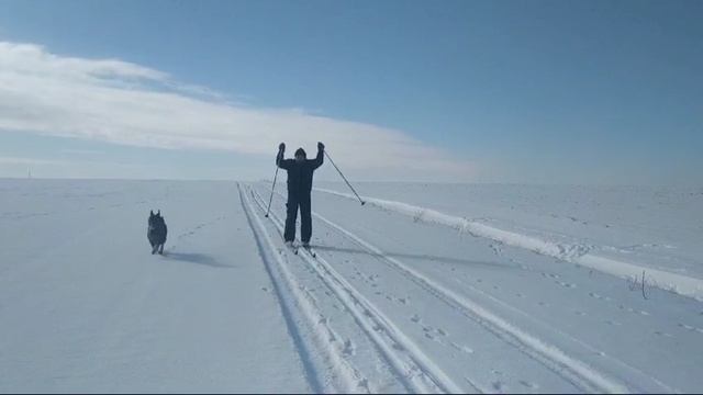 YouCut_20250217_134422118.mp4