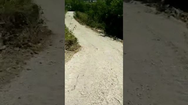 Дорога на участок в районе Красная Воля смотреть онлайн