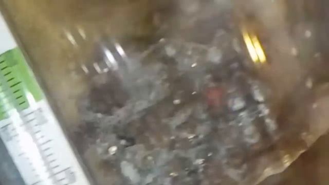 Coupeuses de feuilles et pheidole noda смотреть онлайн