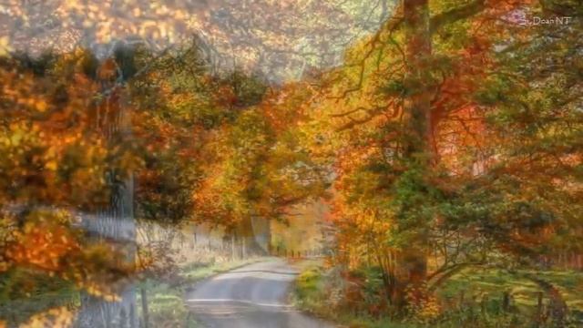 Maple Road смотреть онлайн