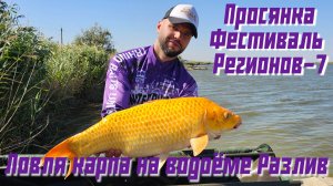 Ловля карпа на водоеме Разлив, село Просянка. Фестиваль Регионов 2024г, 120 часов нон стоп