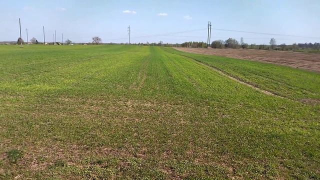 Ужас пшеница смотреть онлайн