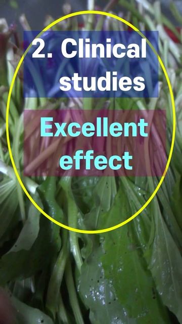Asian plantain, edible wild herb with great taste & effect смотреть онлайн