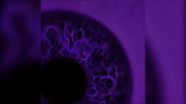 Iris - Iris (2022) [Full Album]