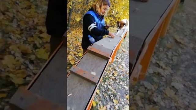 VID 20181014 121006 смотреть онлайн