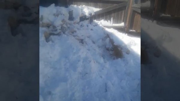 ТРЕХМЕТРОВЫЕ СУГРОБЫ В ПЕТРОПАВЛОВСКЕ!!!