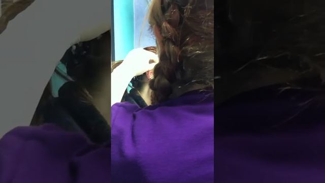 Anti-tragus piercing смотреть онлайн