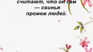 9 Порко Россо