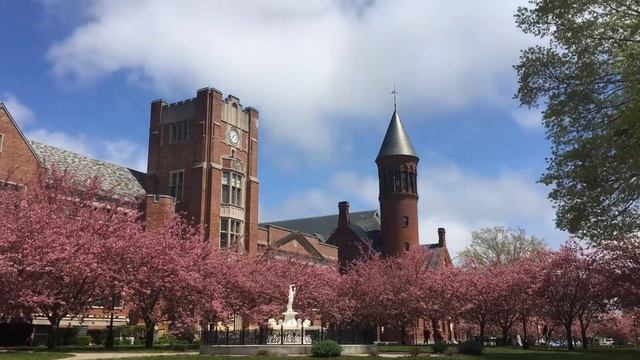 NFA Cherry Blossom Time Lapse - Spring 2017 смотреть онлайн