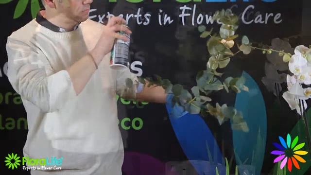 Floralife® Aqua Color ~ How To ~ Foliage