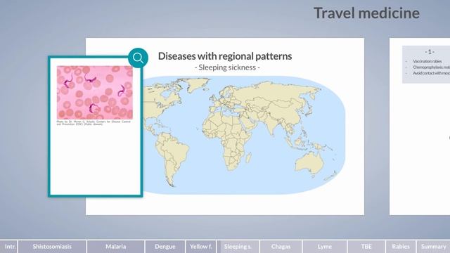 Travel Medicine: Diseases with Regional Patterns смотреть онлайн