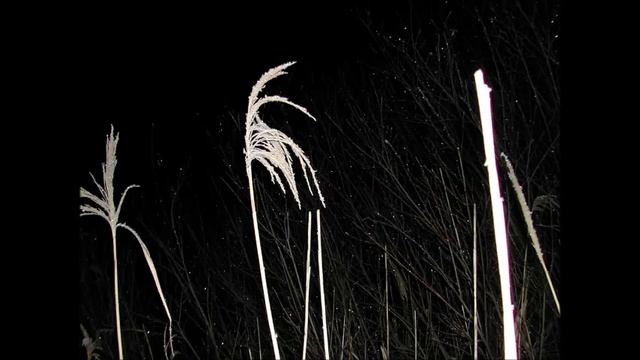 Иеромонах Роман. «Нас куда-то несёт в непроглядную темь...» смотреть онлайн