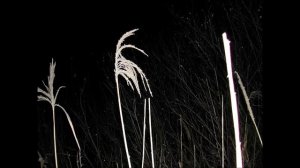 Иеромонах Роман. «Нас куда-то несёт в непроглядную темь...»