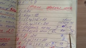 Брелок Мишка, обзор игрушки и схема её вязания.🧶