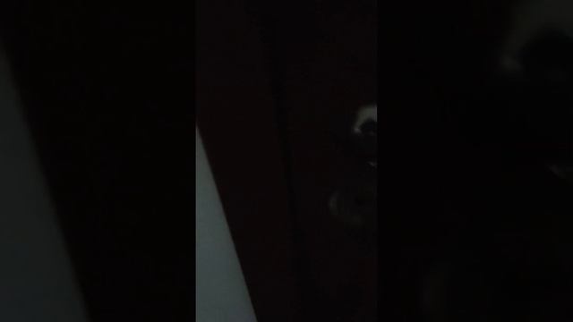 21 декабря 2023 г. смотреть онлайн