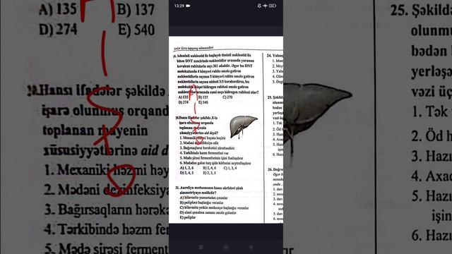 BİOLOGİYA Model testler 2024 смотреть онлайн