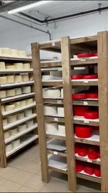 Камера для созревания сыра смотреть онлайн