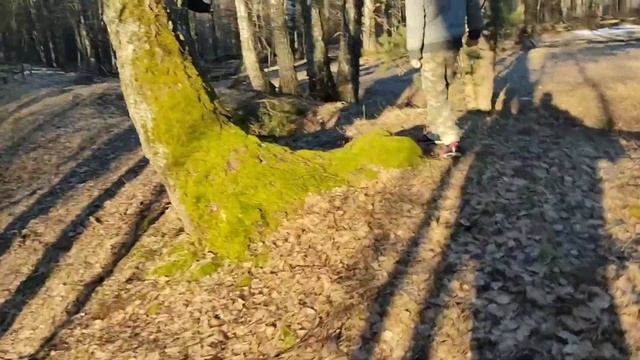 Біг зранку смотреть онлайн