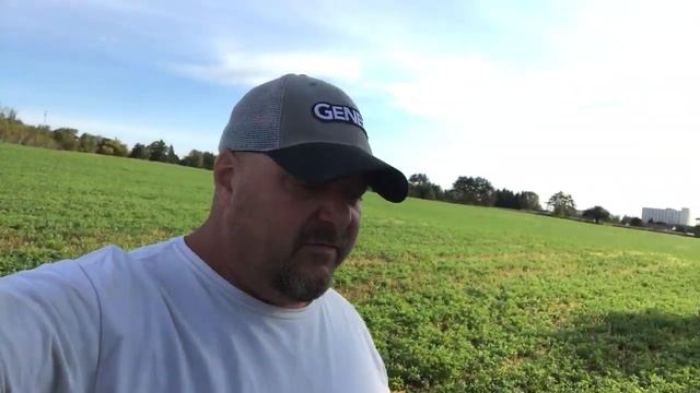 Sorghum Regrowth Update!!! смотреть онлайн
